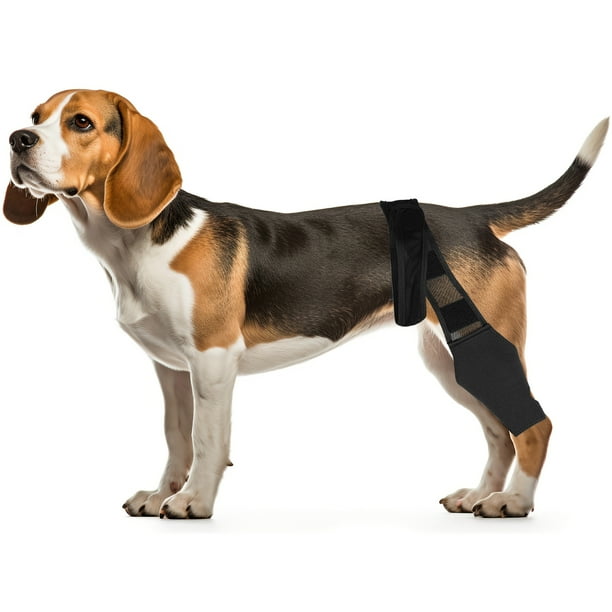 Dog Knee Brace Adjustable Dog Leg Braces Breathable Pet Back Leg Support Brace Comfortable Dog Hip Brace for Supporting Dogs with Torn ACL Muscle Hind Leg Joint Discomfort Walmart Business Supplies