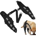 thumbnail image 1 of Dog Knee Brace Dog Hip Joint Care Support Brace Short Rear Leg Hock Brace For Torn Acl Dog Canine Knee Stifle Brace Wrap For, 1 of 5