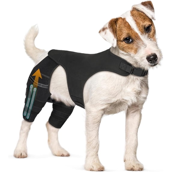 Dog Knee Brace for Hind Legs ACL Support, Adjustable Double Leg Brace for Arthritis, Luxating Patella & Joint Pain, Secure Fit Recovery Wrap