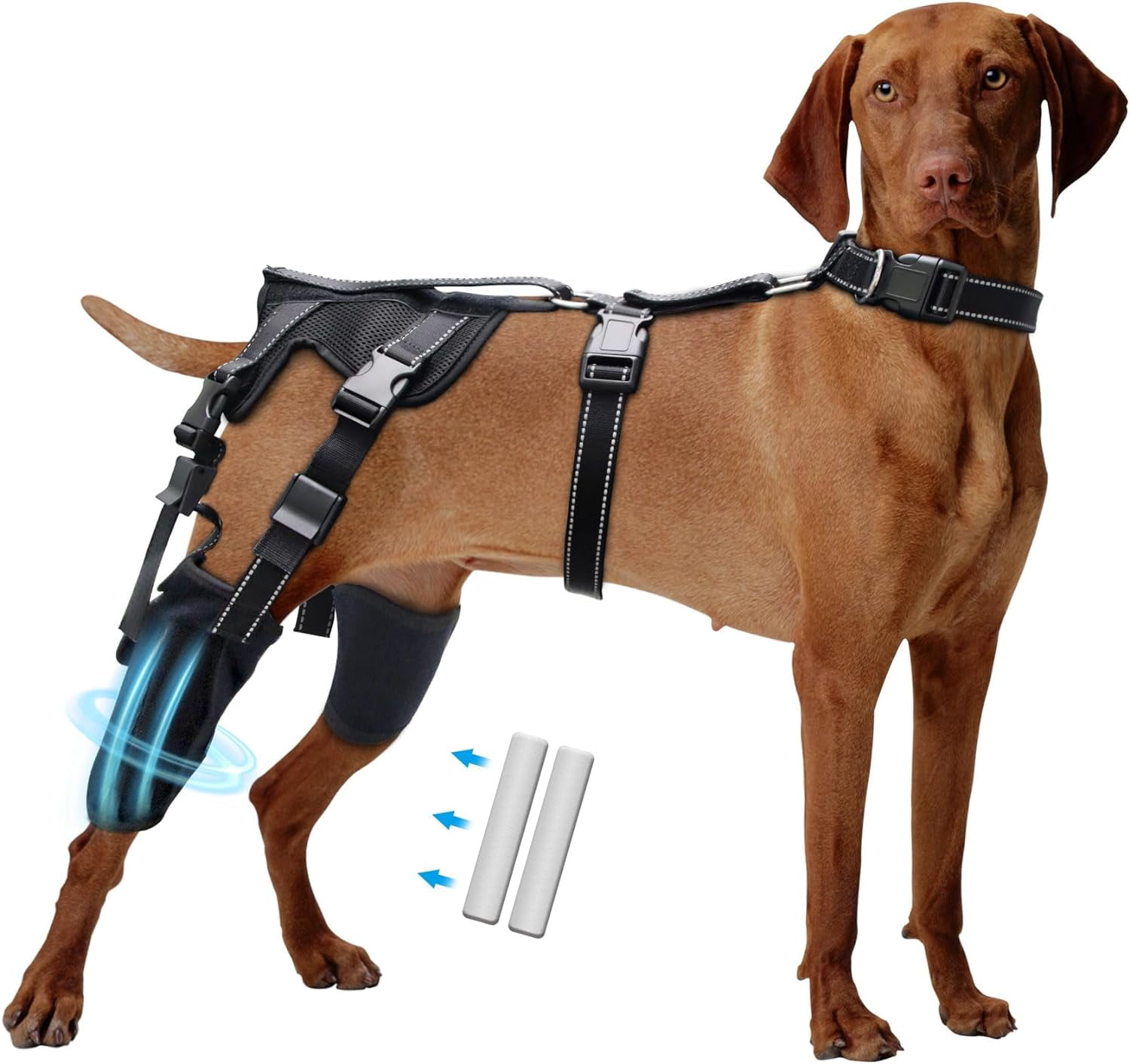 Dog Knee Brace, Dog Leg Braces for Back Leg, Dog Knee Brace for Torn ACL Hind Leg, Dog ACL Brace