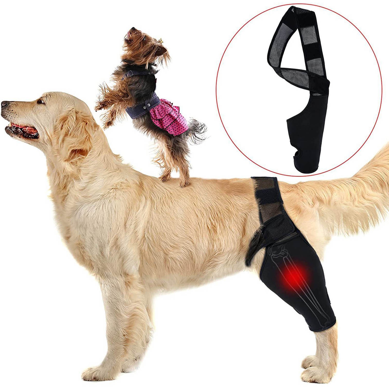 Dog Knee Brace Leg Braces with Side Stabilizers For Dogs Support With ...