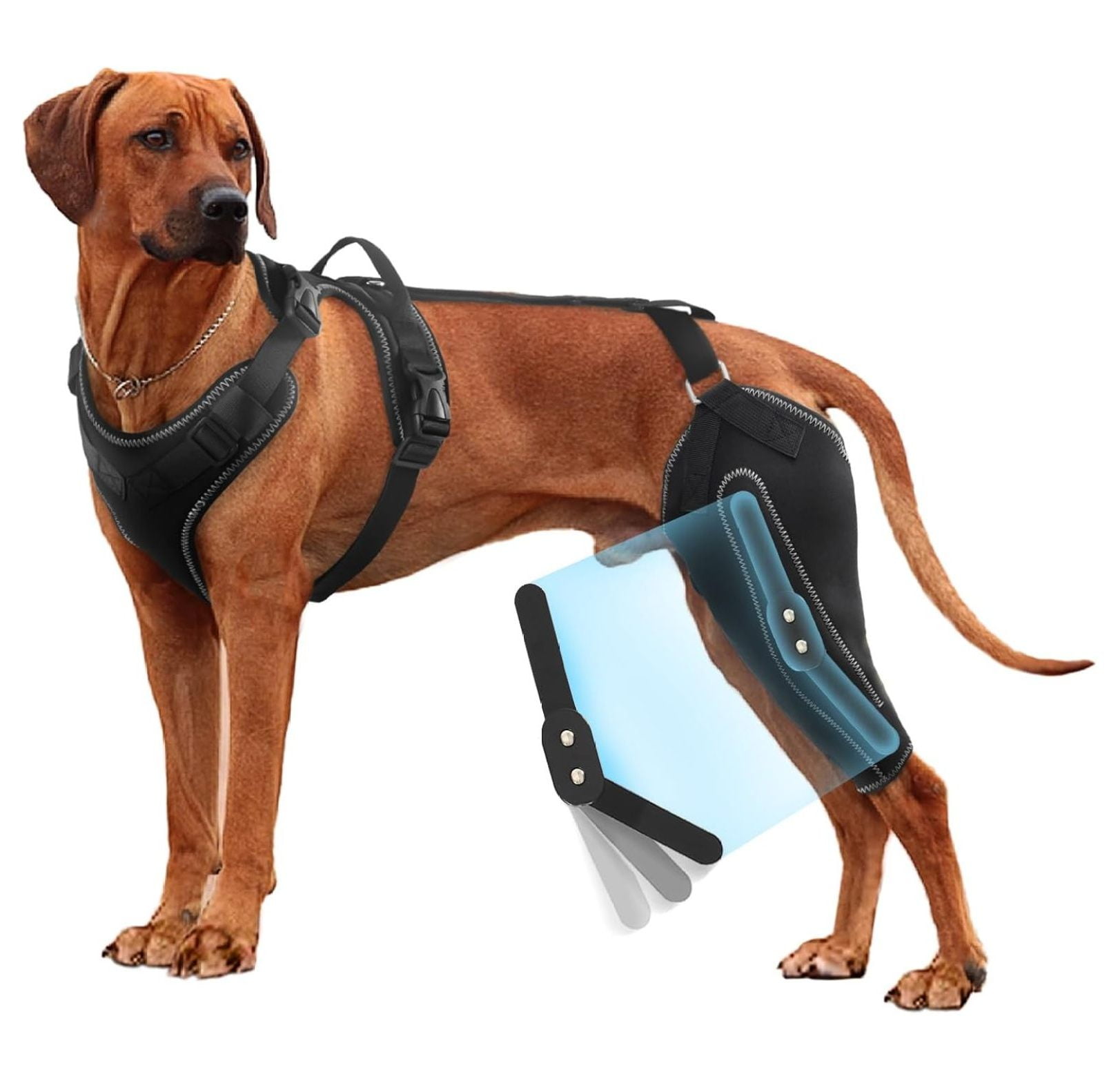 Dog Knee Brace Support for Back Legs with Metal Splint Hinge， ACL/CCL
