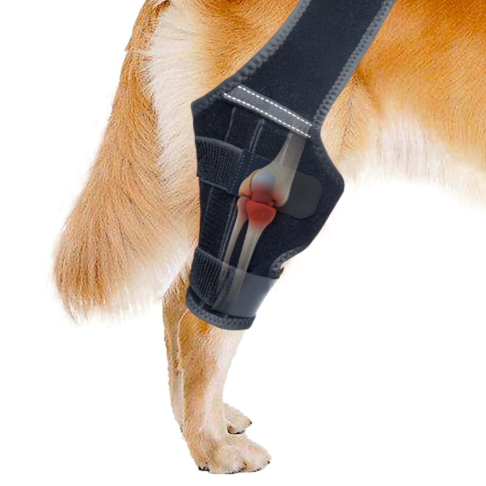 Dog Knee Brace for Torn ACL/CCL & Hind Leg Support - Adjustable Brace for Arthritis Relief, Joint Stability & Injury Recovery - Fits Small & Medium Dogs（1PC）