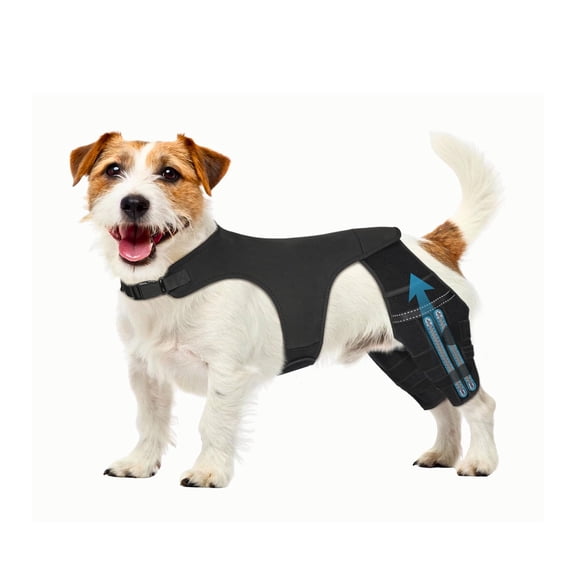Dog Knee Brace for Torn ACL Hind Leg, Dog Leg Braces for Back Leg Support with 4 Metal Stabilizers Helps with Torn CCL, Luxating Patella, Ligament Injuries, Hip Dysplasia
