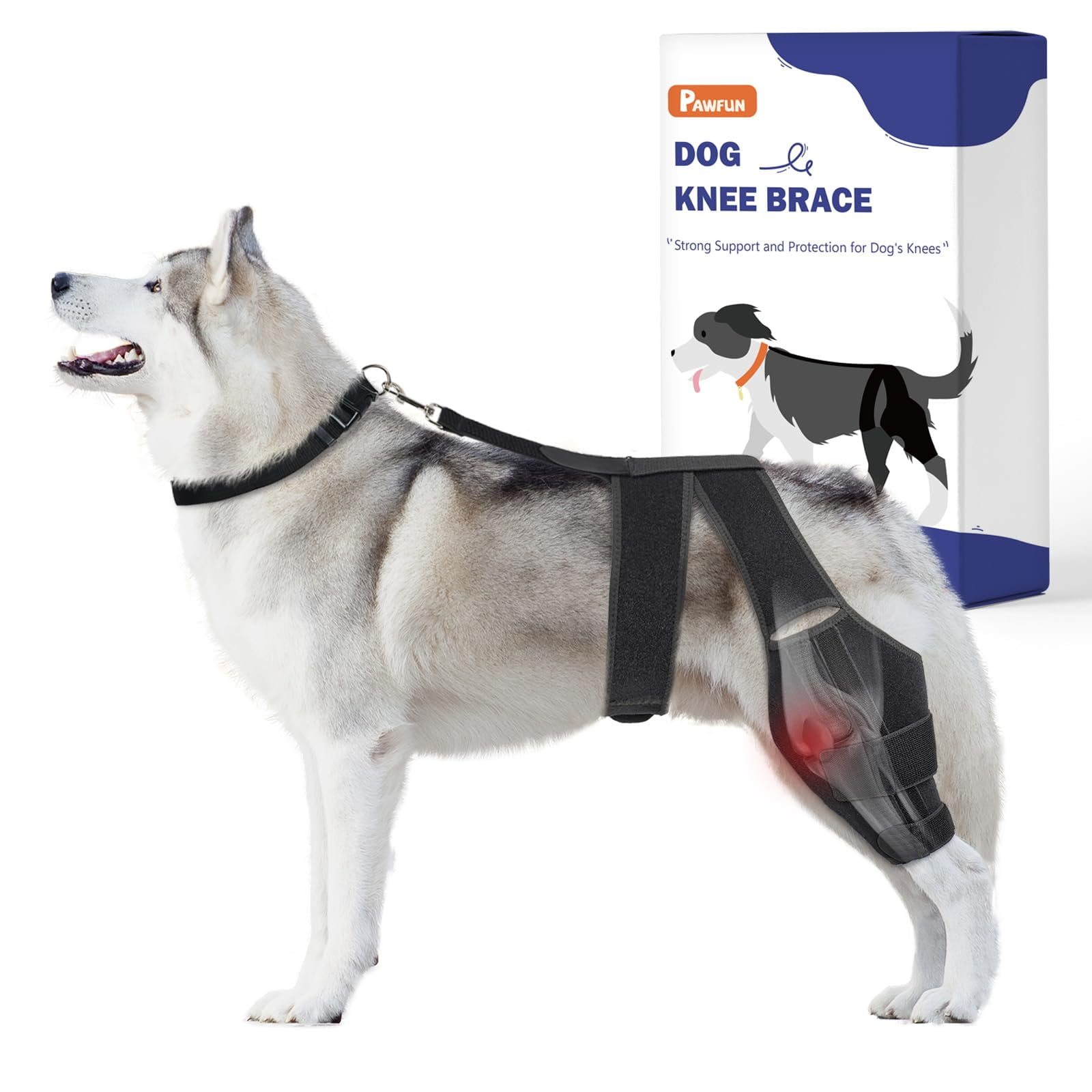 Large dog acl brace fashion