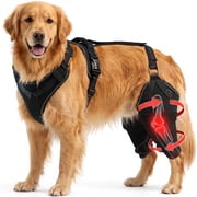 Dog Knee Brace for Torn ACL & Hind Leg Support with Side Stabilizers  Adjustable Dog Hip & Leg Brace with Handle for Cruciate Ligament, Arthritis Relief, Joint Stability & Injury Recovery