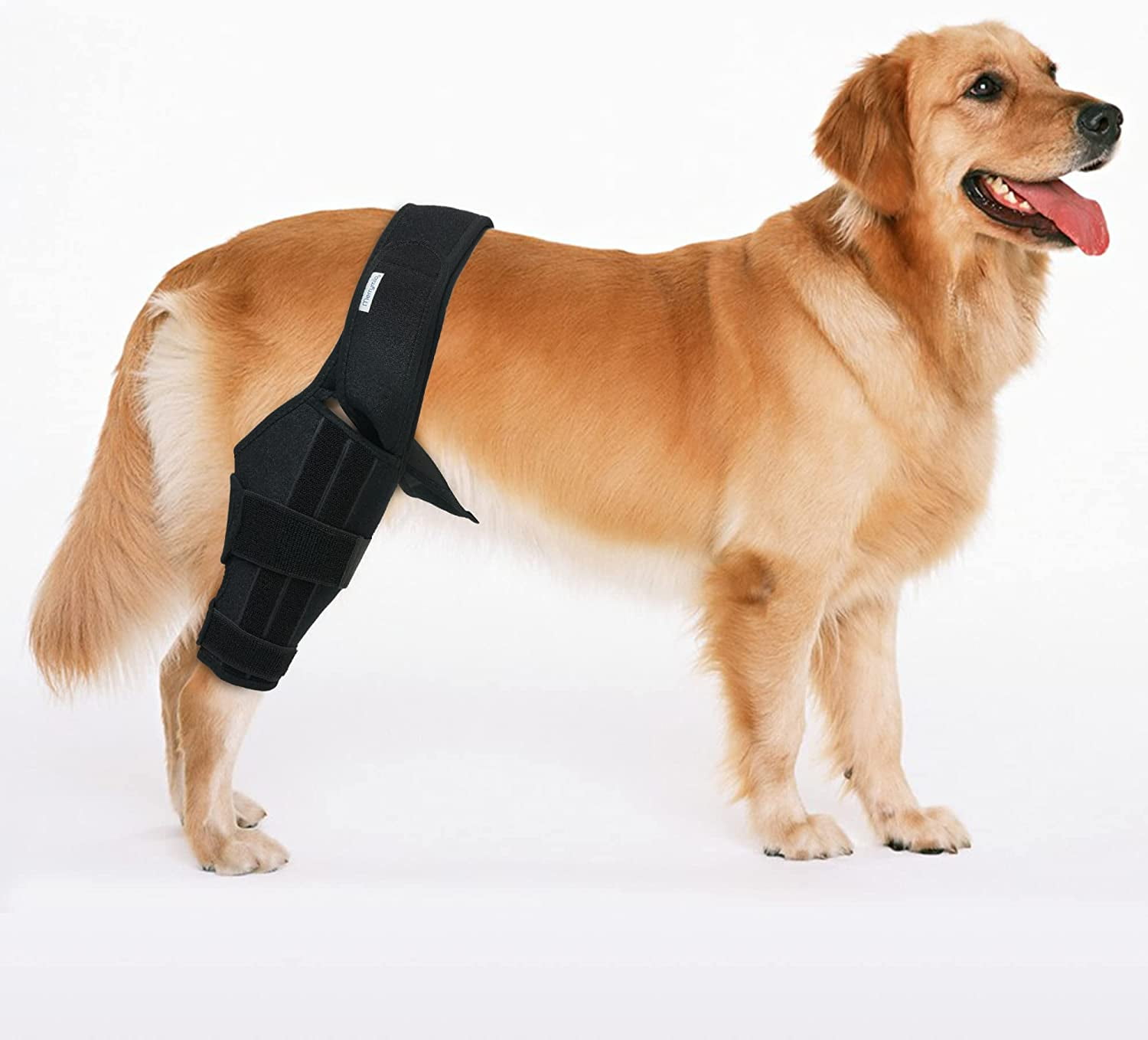 Knee Brace For Dogs Back Leg Dog Knee Brace for Dog ACL Brace Hind Leg or Rear Leg, CCL Brace Hind