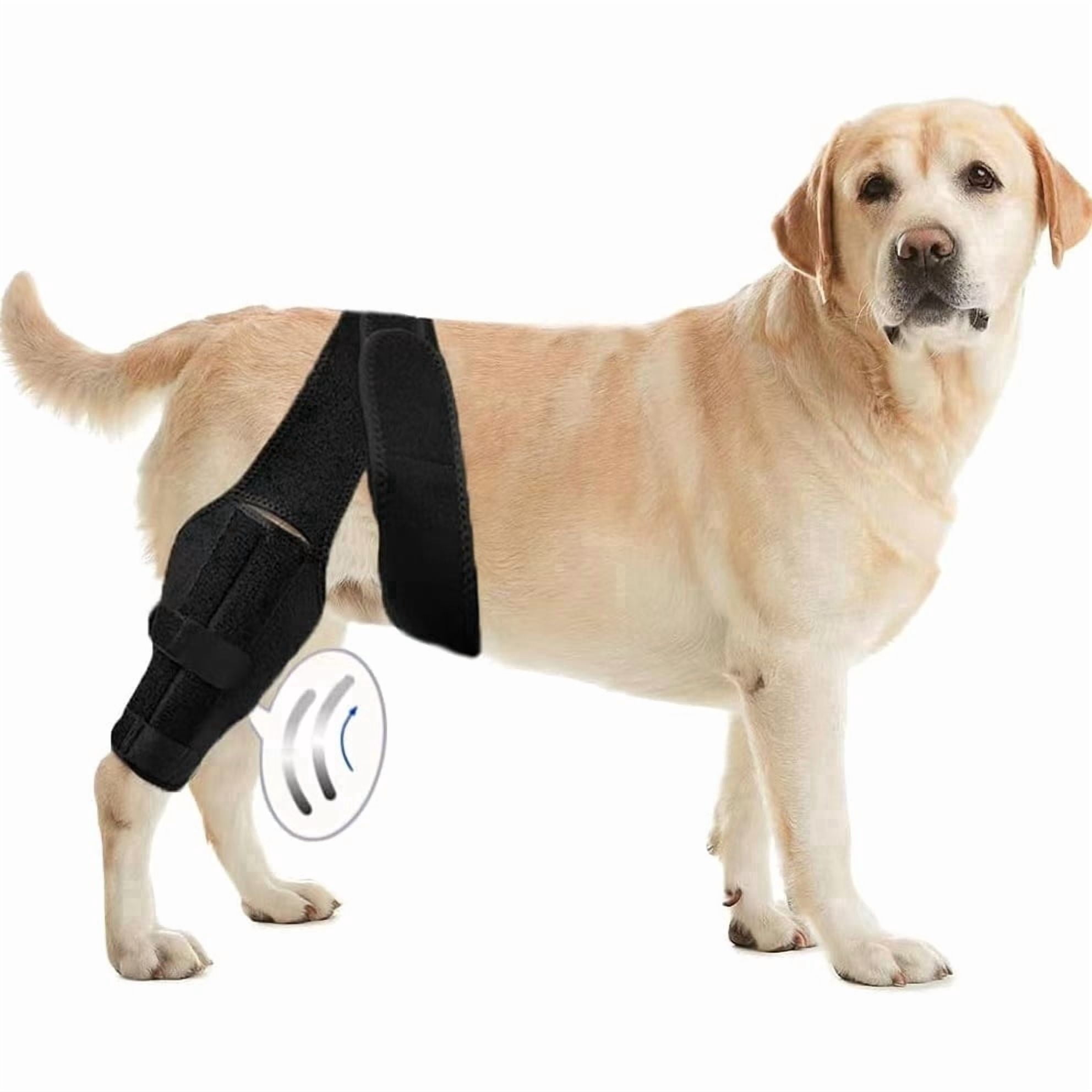 Dog Knee Brace for Hind Leg – Adjustable Rear Leg Support with 2 PP ...