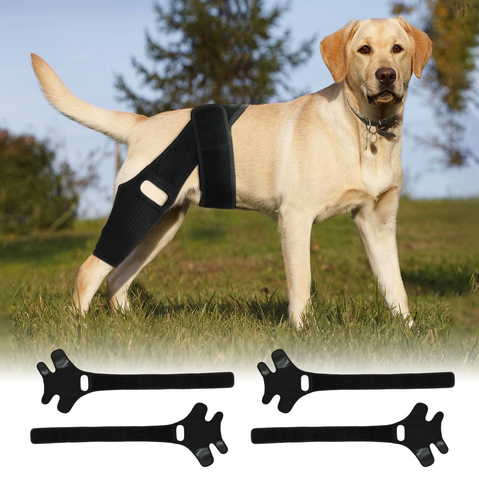HOT Ortho Dog Knee Brace Acl Knee Dog Rear Knee Brace