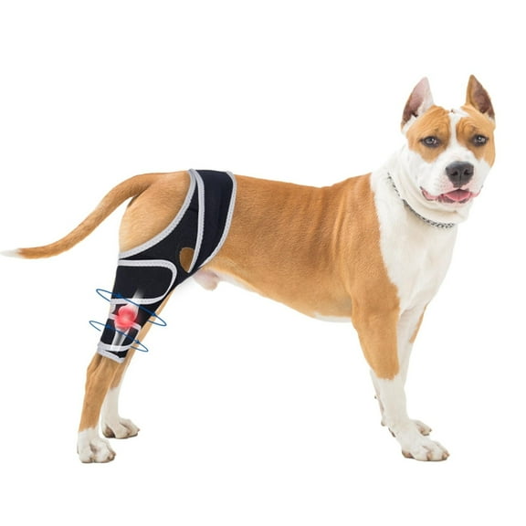 Dog Knee Brace for Torn Acl Hind Leg for Warmth and Support