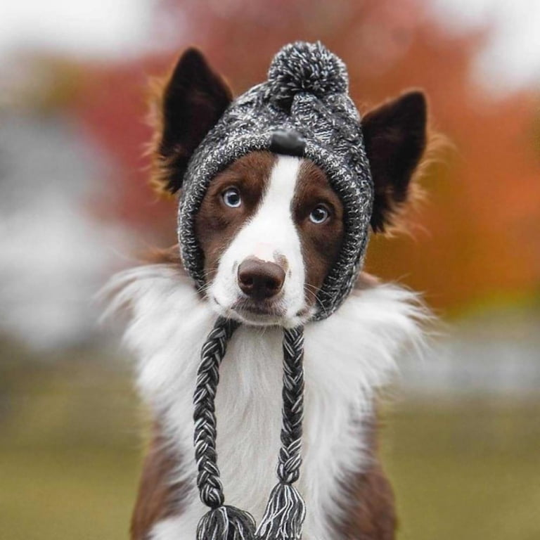 Dog Knit Hat, Pets Winter Warm Pom Pom Beanie Hat with Ear Holes