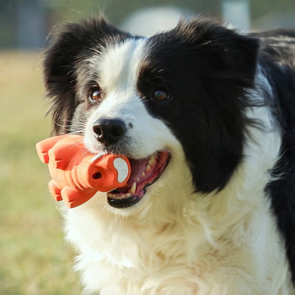 Dog Latex Squeaky Toy, Pig Shaped Toy with Grunting Sound for Interactive Play, Teething and Boredom Relief for All Breeds Orange