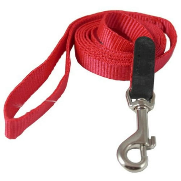 Dog Leash 1/2" Wide Nylon 5ft Length with Leather Enforced Snap Red Small
