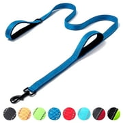 Dog Leash 5ft/6ft Long, Double Handle Dog Leash for Safe Control Training, Double Sided Reflective Leash for Small, Medium & Large Dog(6 ft,Blue)