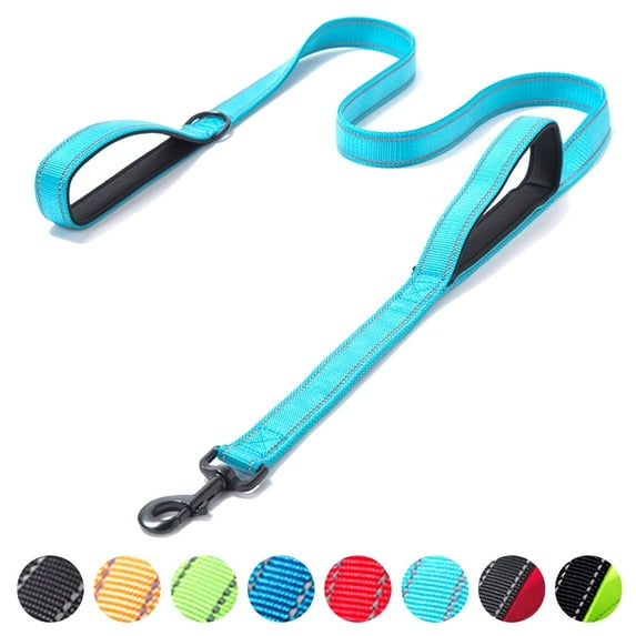 Dog Leash 5ft/6ft Long, Double Handle Dog Leash for Safe Control Training, Double Sided Reflective Leash for Small, Medium & Large Dog(6 ft,Sky Blue)
