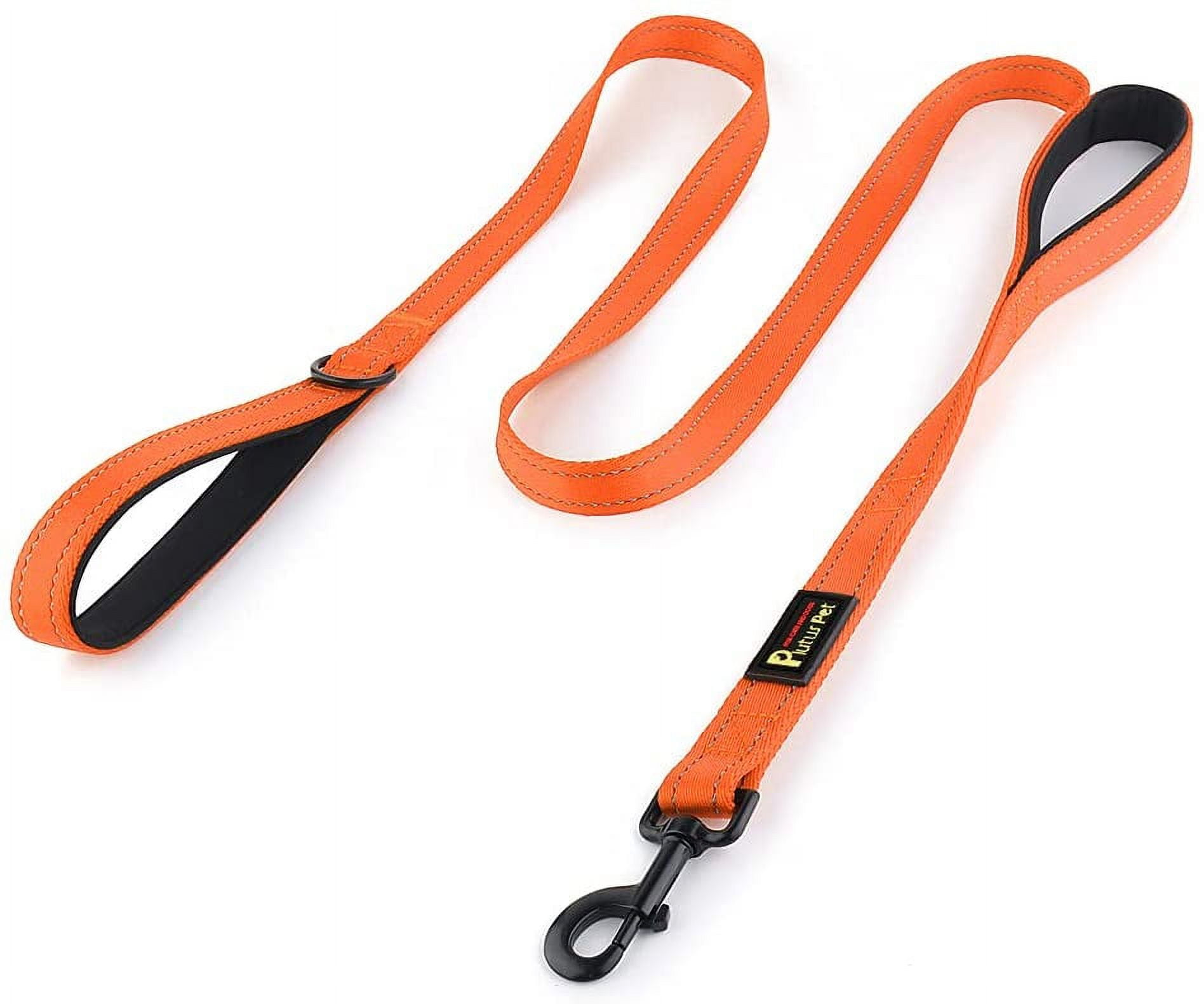 Long training lead hotsell for large dog