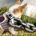 thumbnail image 1 of Dog Leash Funny Chain Style Plastic Pet Leash Durable Control Leash for Outdoor Walking Training 59 Inch, 1 of 4