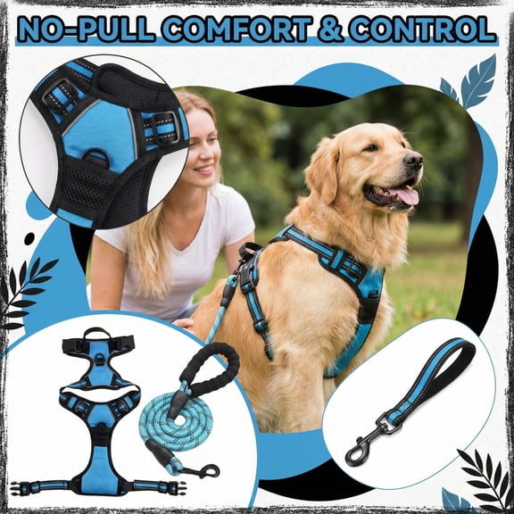 Dog Leash and Harness Set, Dog No Pull Harness, Reflective Dog Leash, Straps with Buckles, 48 in Woven Nylon, Foam Grip Handle, Sky Blue, Outdoor Canine Exercise, 2 Set (171