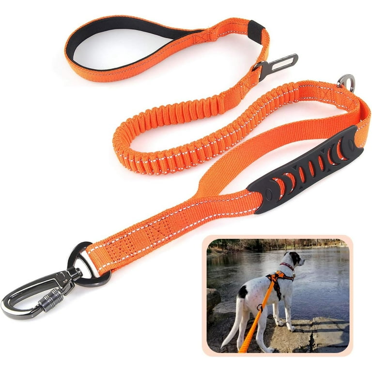 Long dog leash walmart discount