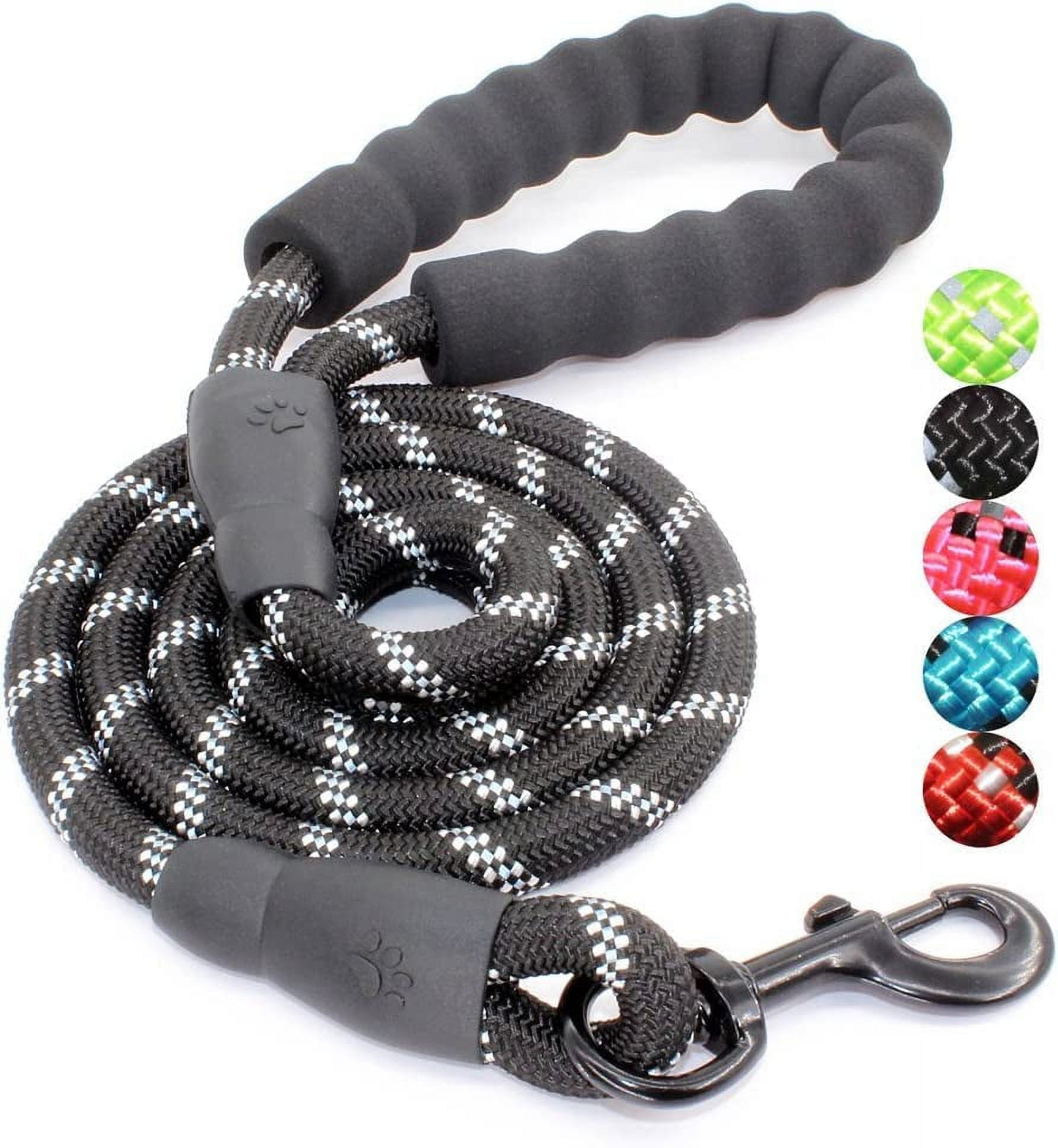 Durable Nylon Dog Leash with Padded Handle for All