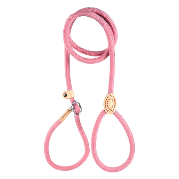 Dog Leash No Buckle Slip Lead Dog Leash Heavy Duty No Pull Leash for Small Medium Dogs Knot-free Design with Adjustable Stopper for Training Walking