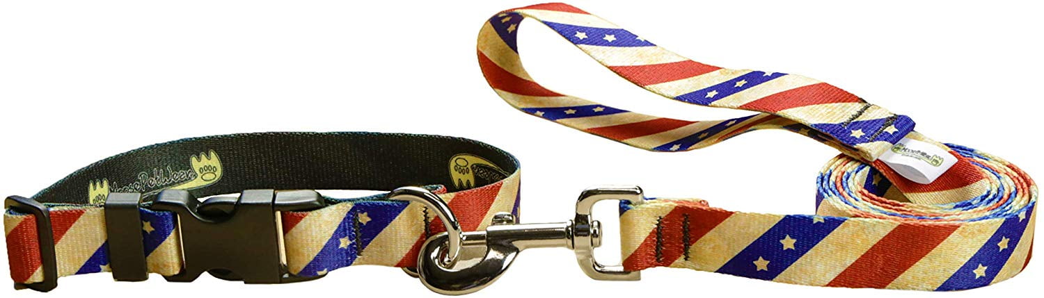 Dog Leash Set - Patterned Dog Collar Set, Matching Dog Collar and Lead,  Made in The USA - 3/4 Inch Wide Adjusts to 8.5-12.5 Inches, Small, Rainbow