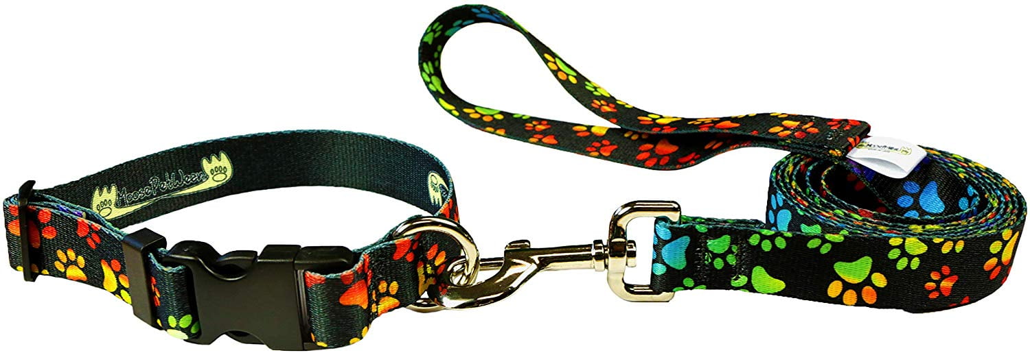 Dog Leash Set - Patterned Dog Collar Set, Matching Dog Collar and Lead,  Made in The USA - 3/4 Inch Wide Adjusts to 8.5-12.5 Inches, Small, Rainbow