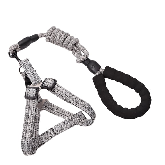 Dog Leash Slip Belt Leash Harnesses Rope Long Pet Strong Training Walking Swimming Belt Soft Handle
