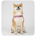 thumbnail image 1 of Dog Leash With Chest Harness, No-Pull Pet Walking Lead, Adjustable For Small Medium Large Dogs, Purple, Xl Size, 1 of 5