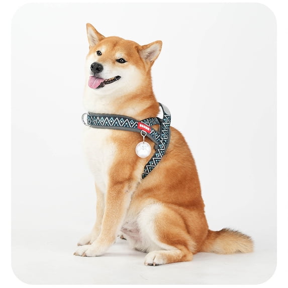 Dog Leash With H-Model Dog Harness, No-Pull Pet Chest Strap For Small Medium Large Dogs, Outdoor Walking Running Training, Black, Xl