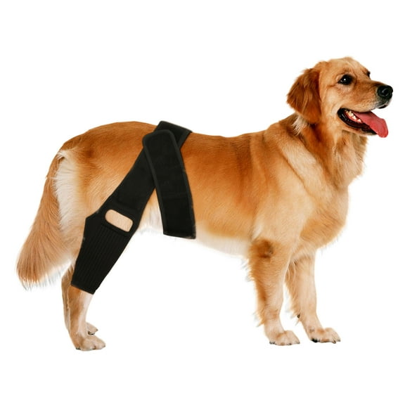 Dog Leg Brace Adjustable Dog Knee Brace Comfortable Dog Leg Hip Brace with Metal Support Bar Extra Support Knee Brace for Dog Hip Dysplasia Luxating Patella