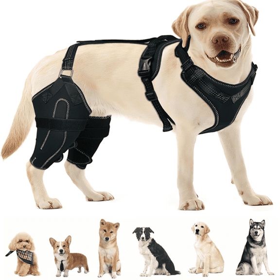 Dog Leg Braces for Back Leg,Dog Knee Brace for Torn ACL/CCL Hind Leg,Adjustable Support with Sufficient Wrapping and Support & Luxating Patella,Non-Slip Joint Brace,Black,M,Black,L