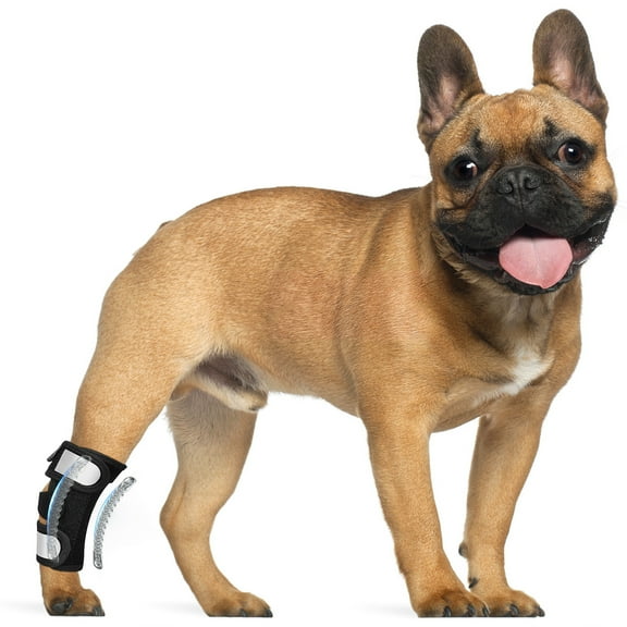 Dog Leg Braces for Back Leg, Rear Leg Hock Ankle Brace with Metal Spring Inserts Reflective Straps