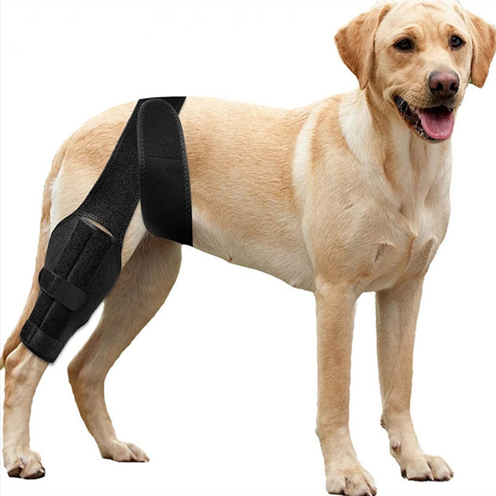 Dog Leg Injury Support Wrap for Lick Prevention and Eczema Recovery Pet