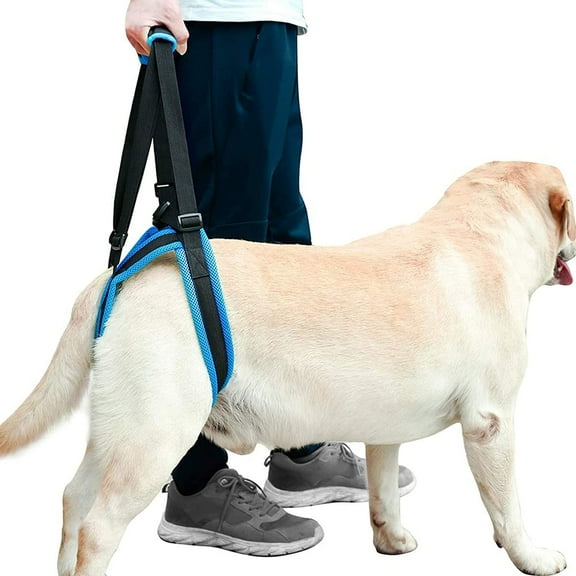 Dog Lift Harness - Dog Lift Support Harness for Weak Rear Legs, Veterinarian Approved Dog Handicap Harness Help for Small Medium Large Dogs, Adjustable Straps for Old, Disabled, Joint Injuries