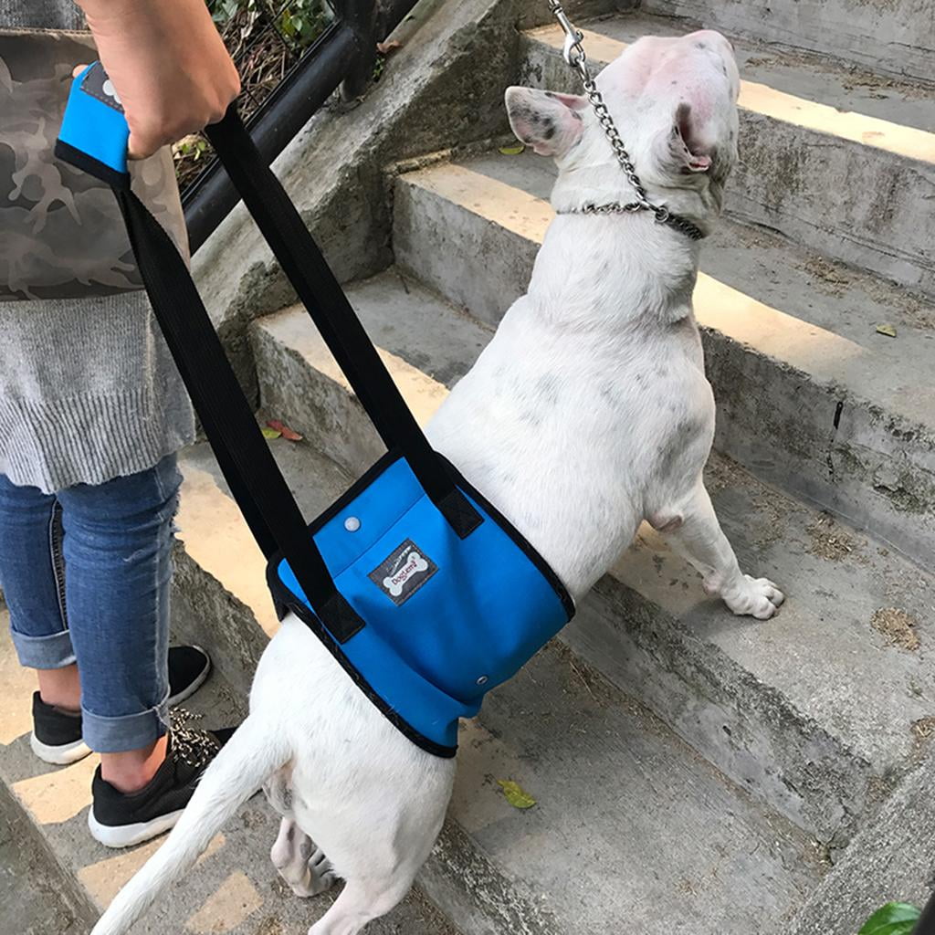 Dog lifting store harness for stairs