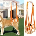 thumbnail image 1 of Dog Lift Harness Pet Rear Support Aid for Weak Rear Legs, Veterinarian Approved Dog Handicap Harness Help for Small Medium Large Dogs, Straps for Old, Disabled, Joint Injuries, 1 of 7