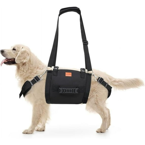 Dog Lift Harness, Pet Support & Rehabilitation Harness for Rear Back Legs Help, Dog Sling Carrier for Large Dog Hind Leg Recovery, Old, Disabled, Joint Injuries, Up and Down Stairs (Black, XXL)