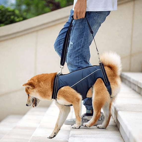 Dog Lift Harness - Pet Support Rehabilitation Sling - Padded Breathable Straps for Old Disabled Joint Injuries Arthritis (Blue,M)