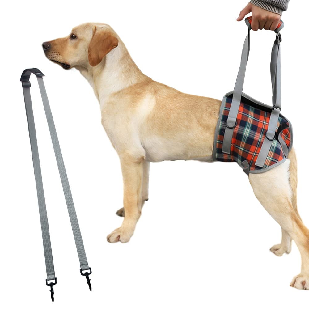 Dog Lift Harness,Portable Lifting Aid with Handle and Shoulder Strap ...