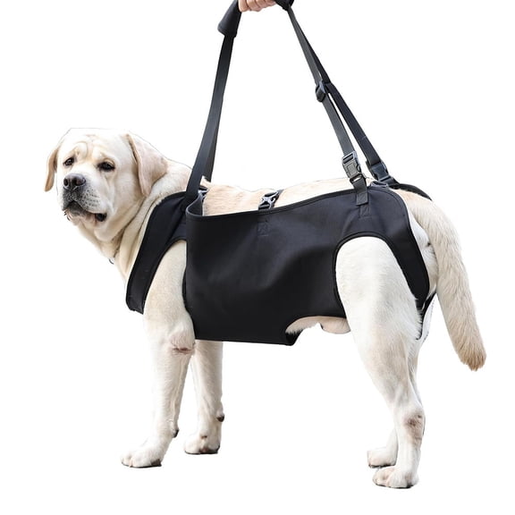 Dog Lift Harness for Rear Legs, Portable Pet Mobility Support Sling for Senior & Disabled Dogs, Adjustable Rehabilitation Recovery Belt for Joint Injuries, Onyx Black