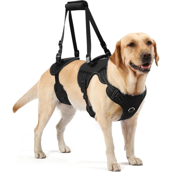 Dog Lift Harness for Senior and Injured Pets Full-Body Support Sling with Breathable Mesh Front and Rear Leg Assist for Arthritis Hip Dysplasia and Post-Surgery Recovery X-Large Black
