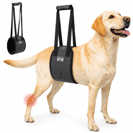 Dog Lift Harness for Small Dogs, Hind Leg Support Sling for Senior, Injured and Disabled Dogs, Mobility Aid with Soft Padding and Easy-Use Handle