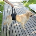 thumbnail image 1 of Dog Lift Support Harness for Small Dogs Portable Soft Dog Sling for Back Legs S Black, 1 of 4