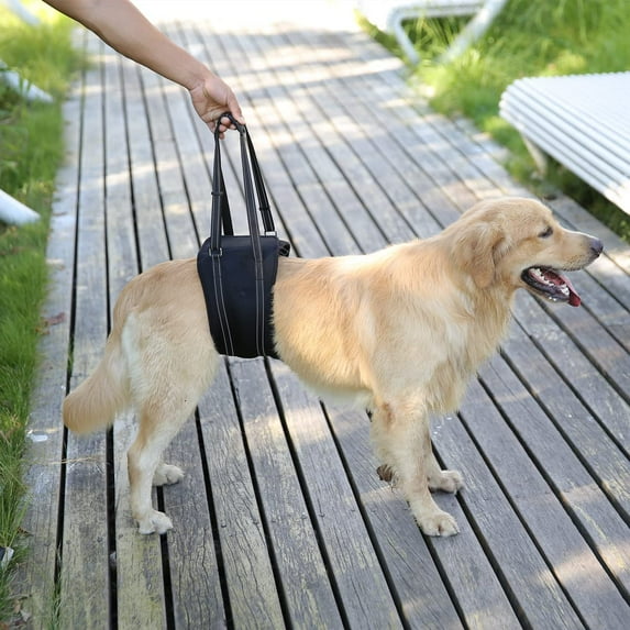 Dog Lift Support Harness for Small Dogs Portable Soft Dog Sling for Back Legs S Black