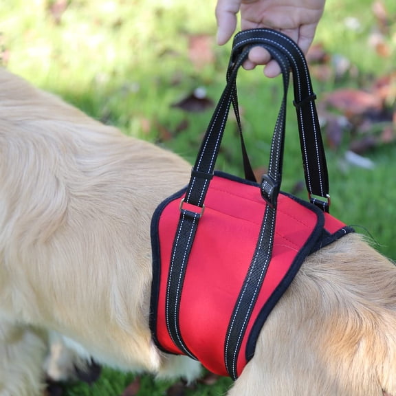 Dog Lift Support Harness for Small Dogs Portable Soft Dog Sling for Back Legs S Red