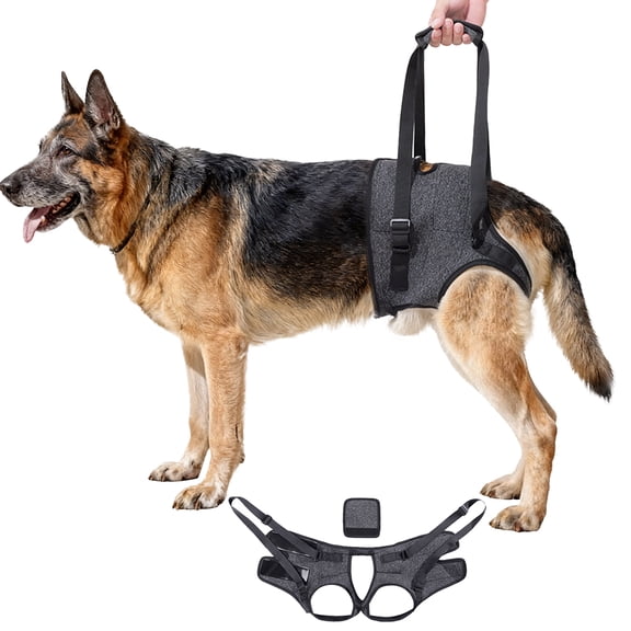Dog Lifting Aid, S Size Hind Leg Support Strap for Elderly Injured Disabled Dogs, Adjustable Dog Lifting Harness, Rear Support Sling with Airy Fabric, Gray