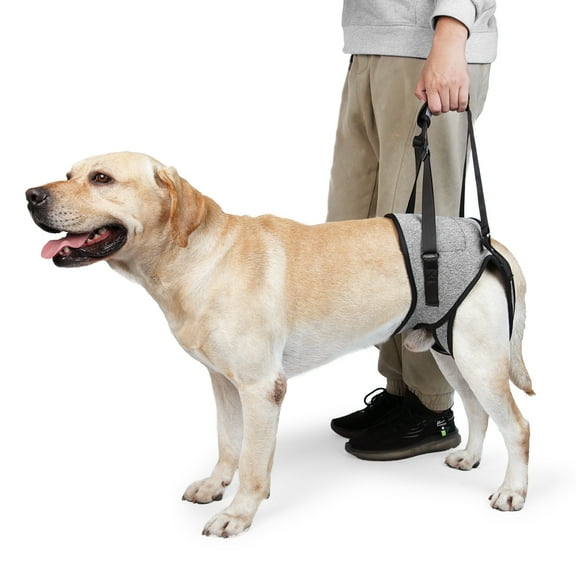 Dog Lifting Harness,Dog Hind Legs Support Strap, Pet Portable Recovery Walking Training Lift Strap with Handle for Elderly Injured Amputation Disabled Dogs XL