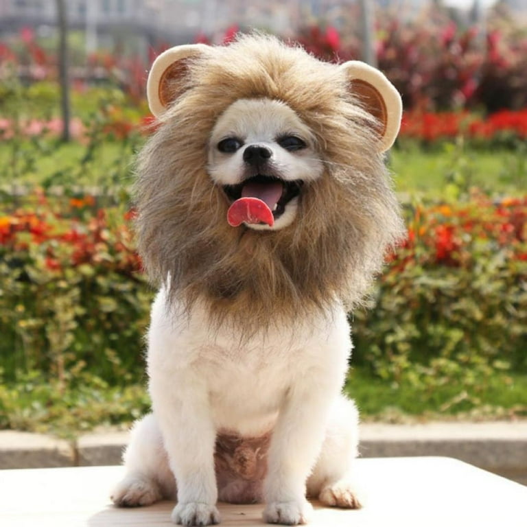 Dog Lion Mane Realistic Funny Lion Mane for Dogs Complementary Lion Mane for Dog Costumes Lion Wig for Medium to Large Sized Dogs Lion Mane Wig for Dogs Walmart