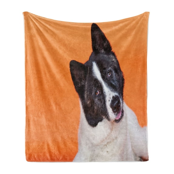 Dog Lover Soft Flannel Fleece Throw Blanket, Pet Photo of Domestic Akita Breed on Tangerine Tones, Cozy Plush for Indoor and Outdoor Use, 50" x 70", Orange Charcoal Grey, by Ambesonne